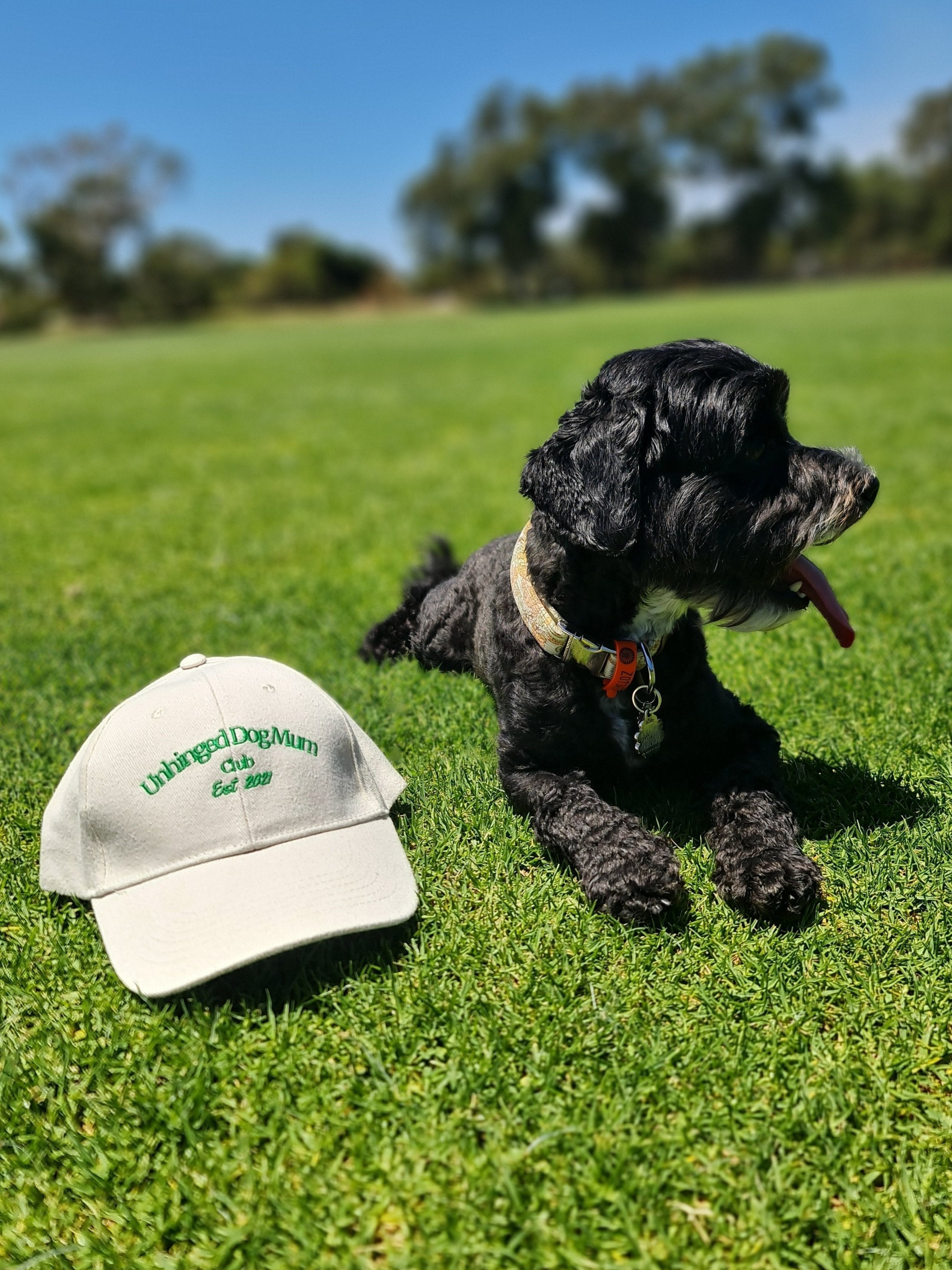 Unhinged Dog Mum Club Hat